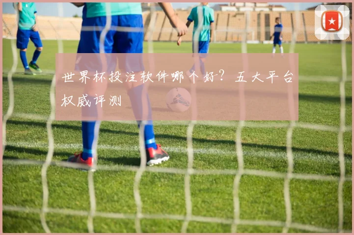 世界杯投注软件哪个好？五大平台权威评测