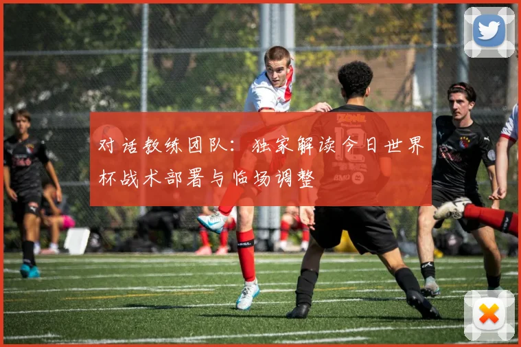 对话教练团队：独家解读今日世界杯战术部署与临场调整