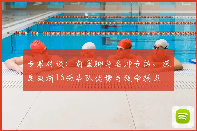 专家对谈：前国脚与名帅专访，深度剖析16强各队优势与致命弱点