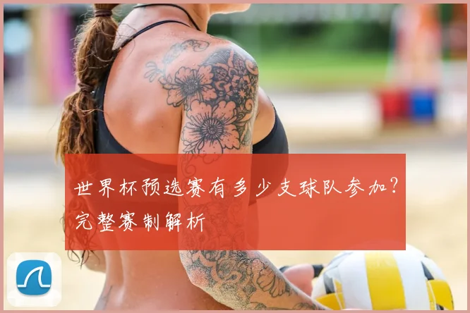 世界杯预选赛有多少支球队参加？完整赛制解析