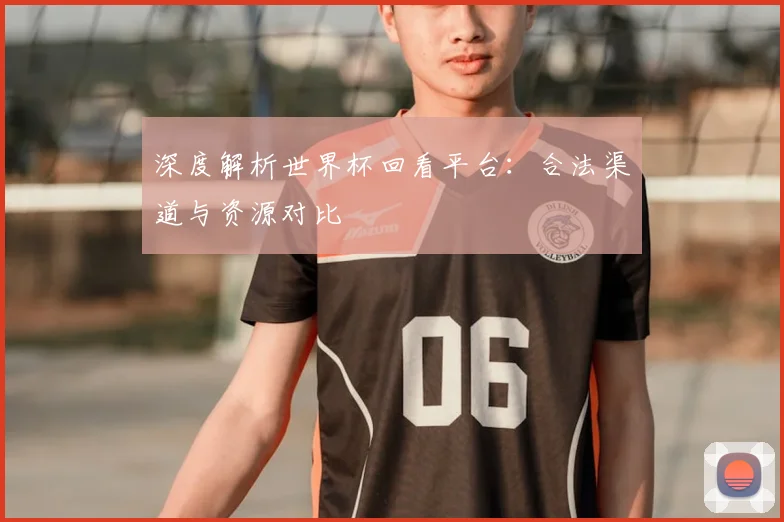 深度解析世界杯回看平台：合法渠道与资源对比