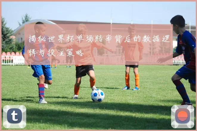 揭秘世界杯单场赔率背后的数据逻辑与投注策略