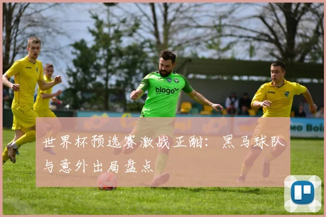 世界杯预选赛激战正酣：黑马球队与意外出局盘点