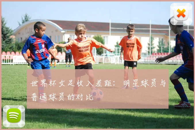 世界杯女足收入差距：明星球员与普通球员的对比
