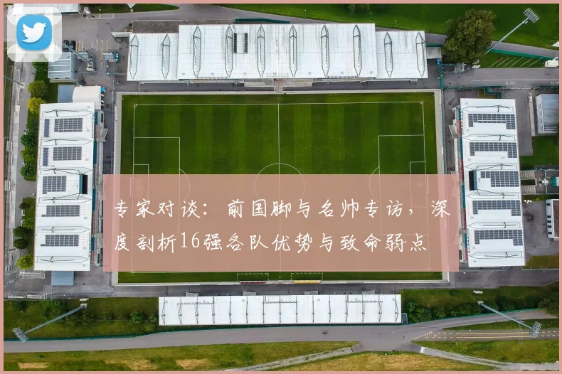 专家对谈：前国脚与名帅专访，深度剖析16强各队优势与致命弱点