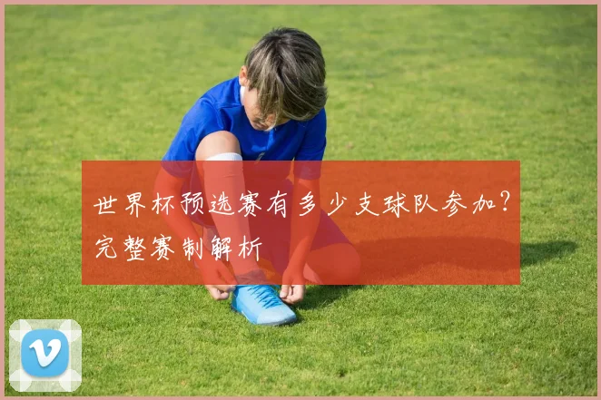 世界杯预选赛有多少支球队参加？完整赛制解析