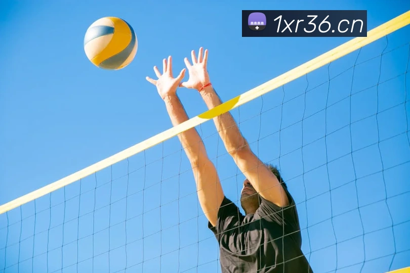 九游体育app官方下载APP 封面图